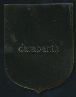 DN Szolnok város címere bronz plakett eredeti dísztokban T:1