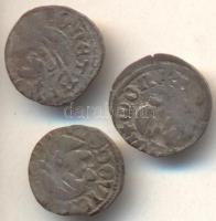 1373-1382. Denár Ag "I. Nagy Lajos" (3x) T:3
Hungary 1373-1382. Denar Ag "Ludwig I&qu...