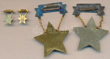 ~1980. 2db Kiváló Dolgozó kitüntetés miniatűrrel T:2