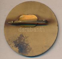 ~1970. "A Közművelődésért" Belügyminisztérium által kiadott kitüntető Br jelvény T:1