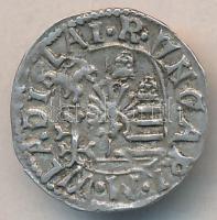 1498-1503. Denár "II. Ulászló" T:2
Huszár 807.,Unger I.: 641.a