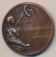 1950. "Megemlékezésül Hűséges Tagtársunknak a Magyar Filatelisták Klubja 1930-1950" Br emlékérem (38mm) T:2