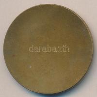 Szántó Gergely (1886-1962) 1927. "Királyi Magyar Egyetemi Nyomda" Br plakett (40mm) T:2