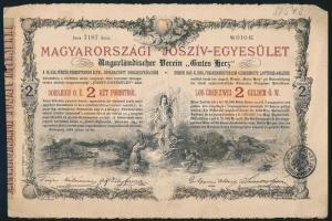 1888. "Magyarországi Jószív Egyesület" sorsjegye 2Ft-ról magyar és német nyelven T:hajtott