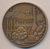 Bogár Lívia (1957-) 1984. "Soproni Városszépítő Egyesület" Br emlékérem (49mm/61g) T:1