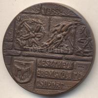 Peternák Gusztáv (1928-) 1983. "Keszthelyi Éremgyűjtő Csoport / Sümeg Vára XVII SZD" Br em...