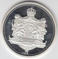 Németország DN. "I. Lajos bajor király" Ag emlékérem (19.65g/0.999) T:PP
Germany ND. &quot...