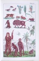 Raff György: Természet historiája gyermekek számára. A kor kivánatához alkalmazva kijavitotta Stancs...