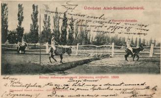 Alsószombatfalva Rónay ménesparancsnok jubileumi szamár versenyfuttatás / Rónay's anniversary donkey race