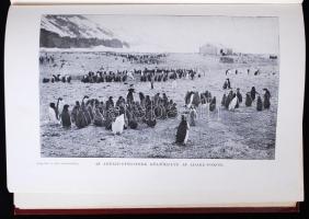 Robert F. Scott: Angolok a déli sarkvidéken. Angolból átdolg. Halász Gyula. 75 képpel, ezek között 4...