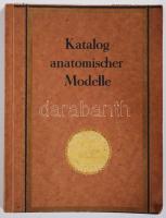cca 1930 Anatómiai modellek, szemléltetőeszközök képes katalógusa / catalogue of anatomic modells 10...