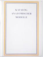 cca 1930 Anatómiai modellek, szemléltetőeszközök képes katalógusa / catalogue of anatomic modells 10...