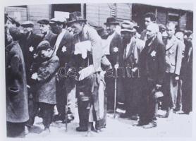 ember Mária: 100 kép a vészkorszakból Bp., 1984. Magvető