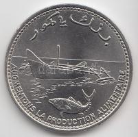 Komori-szigetek 1977. 1000Fr T:I
Comoros 1977. 1000 Francs C:UNC