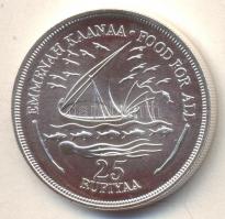 Maldív-szigetek 1978. 25R Ag "FAO" T:BU
Maldives 1978. 25 Rufiyaa Ag "FAO" C:BU