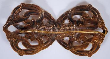 Szecessziós hajcsat