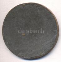 1891. "Komáromi Ipar és Gazdasági Kiállítás" Br plakett (38mm) T:2-