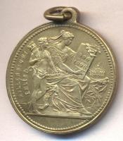 1896. "I. Ferencz József / Millenniumi emlék" emlékérem T:2