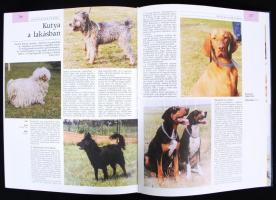 Pannon Enciklopédia I.-IV. kötet. Magyarország története, Magyarország kézikönyve, Magyarország növé...