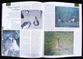 Pannon Enciklopédia I.-IV. kötet. Magyarország története, Magyarország kézikönyve, Magyarország növé...