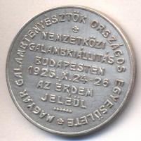 1925. "Nemzetközi Galambkiállítás Budapesten / Az Érdem Jeléül" ezüstözött Br díjérem szig...