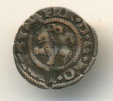 Bohémia 1563. Obulus Ag Prága T:3,5 Bohemia 1563. Obolus Ag Prague C:F,G