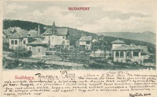 1899 Budapest XII. Svábhegy (fa)