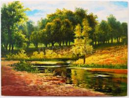 TF jelzéssel: Erdei patak. Olaj, farost, 18×24 cm
