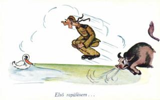 Hungarian military, humour