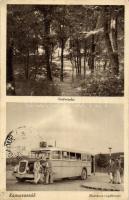 Budapest XI. Kamaraerdő, autóbusz-végállomás, 27-es busz