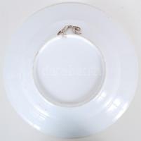 1907 Kézzel festett porcelán emléktányér / 
Hand painted porcelain memory plate, d: 23cm