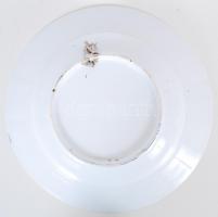 1907 Kézzel festett porcelán emléktányér / 
Hand painted porcelain memory plate, d: 23cm