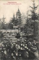 Nagykároly castle park