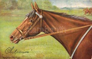 Lovat ábrázoló lap s: Aug Müller (sarokhiány)