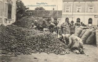 Nagykőrös uborkaszedés