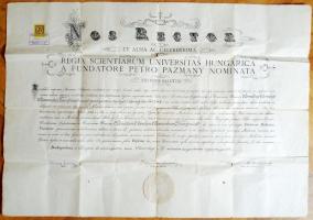 1924 Orvosi diploma / Doctors diploma 80x50 cm