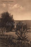 Veli Losinj, Lussingrande promenade