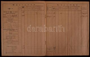 1891 Szilágy vármegye adókönyvecske