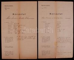 1890 Kassai közkórház kórvázlata elmebeteg páciensről 8p.