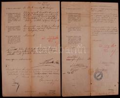 1890 Kassai közkórház kórvázlata elmebeteg páciensről 8p