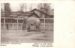 Budapest XIV. Állatkert; Sziam, az óriás elefánt