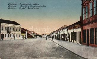 Leskovac Panacurista