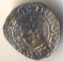 1358-1371. Denár Ag "I. Lajos" (0.41g) T:2 ki.
Hungary 1358-1371. Denar Ag "Ludwig I&...