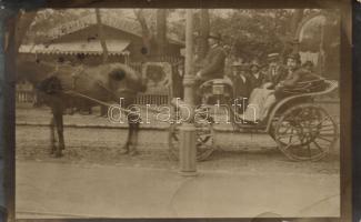 Budapest XIII. Margitsziget trafik, fogat, photo