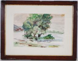 Háry jelzéssel: Fa csoport. Akvarell, papír-karton, üvegezett keretben 34×44 cm