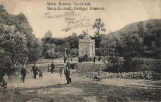 Budapest II. Máriaremete, Szent kút (fa)