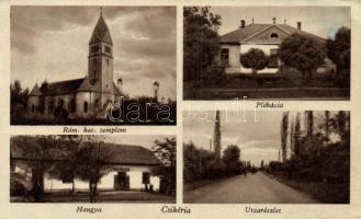 Csikéria Hangyával