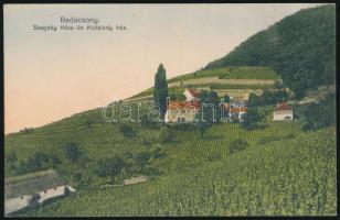 Badacsony Szegedy Róza és Kisfaludy Sándor ház