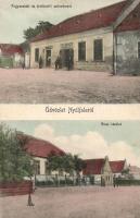 Nyúl szövetkezettel