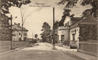 Petrozsény villas